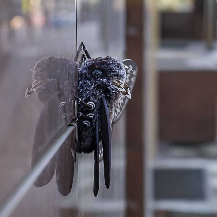 I Was Terrified Of Moths Before Making These Cute Dolls, But My Phobia Turned To Love