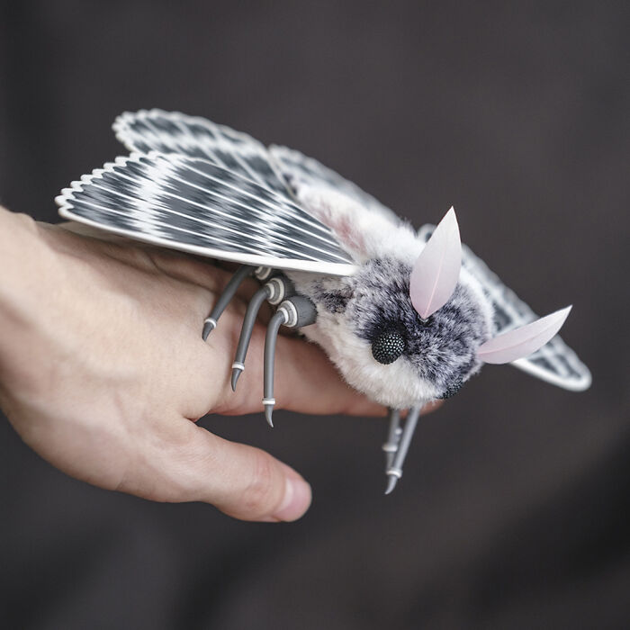 I Was Terrified Of Moths Before Making These Cute Dolls, But My Phobia Turned To Love
