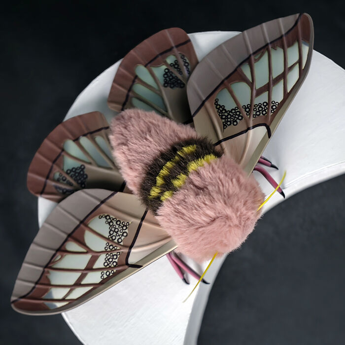 I Was Terrified Of Moths Before Making These Cute Dolls, But My Phobia Turned To Love