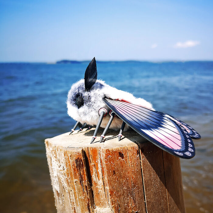 I Was Terrified Of Moths Before Making These Cute Dolls, But My Phobia Turned To Love