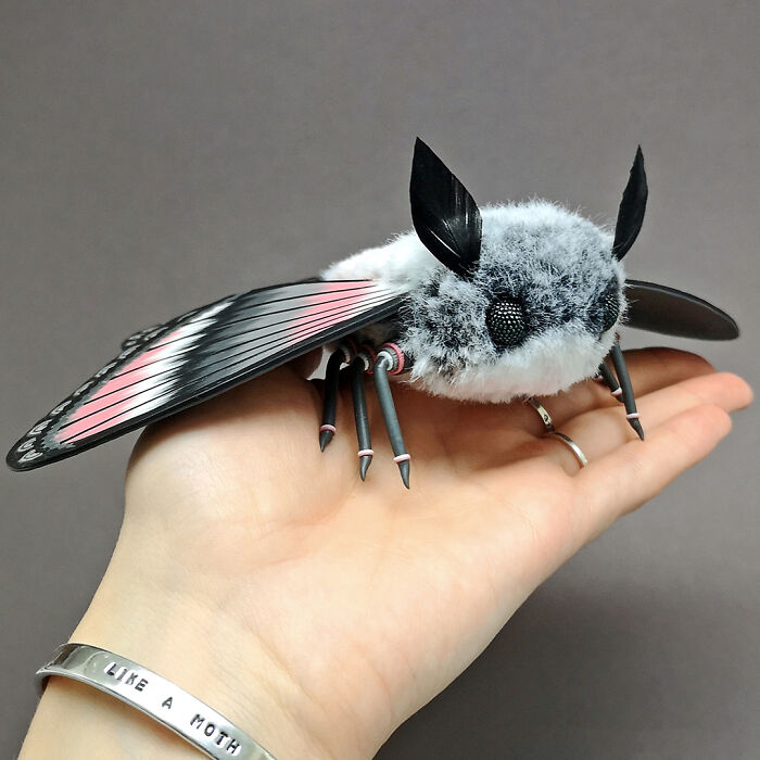 I Was Terrified Of Moths Before Making These Cute Dolls, But My Phobia Turned To Love
