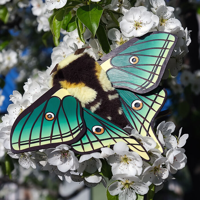 I Was Terrified Of Moths Before Making These Cute Dolls, But My Phobia Turned To Love