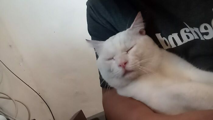 Instant Sleep When My Husband Hold Him