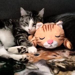 susanbcao2020 avatar