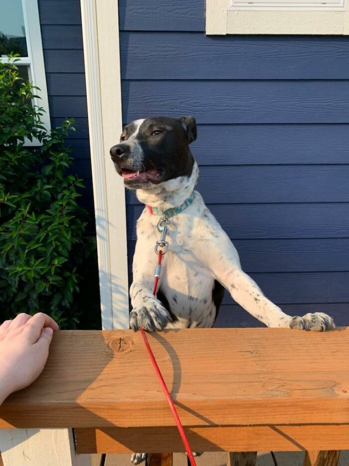 Tatiana Has To Be Able To See Everything!