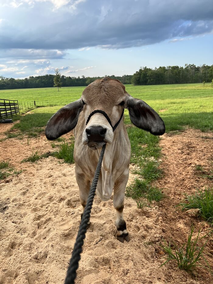 I’m Grumpy At You!