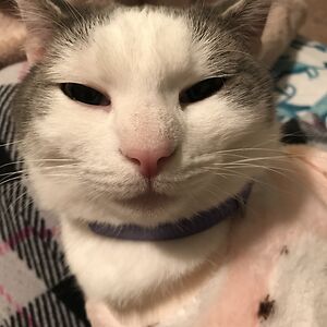 vasanaphong424 avatar