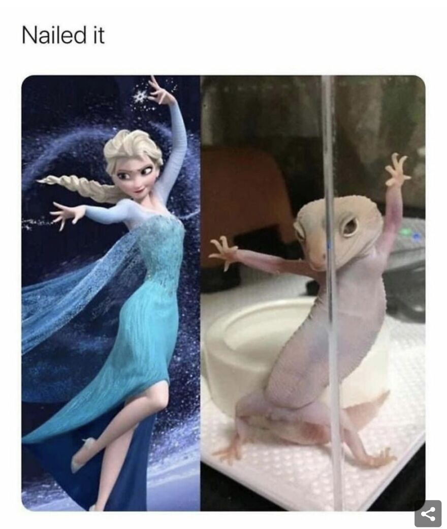 30 Memes To Make Your Day Better 30 Memes To Make Your Day Better