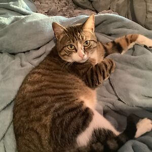 genericsoda2012 avatar