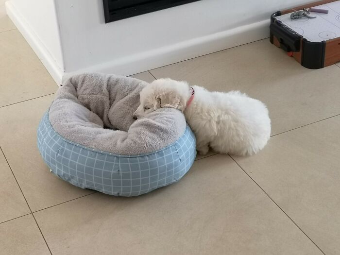 That's Not Quite How It Works 🤔