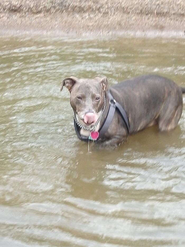 Spending A Day (Or 2) At The Lake Fishing With This Guy