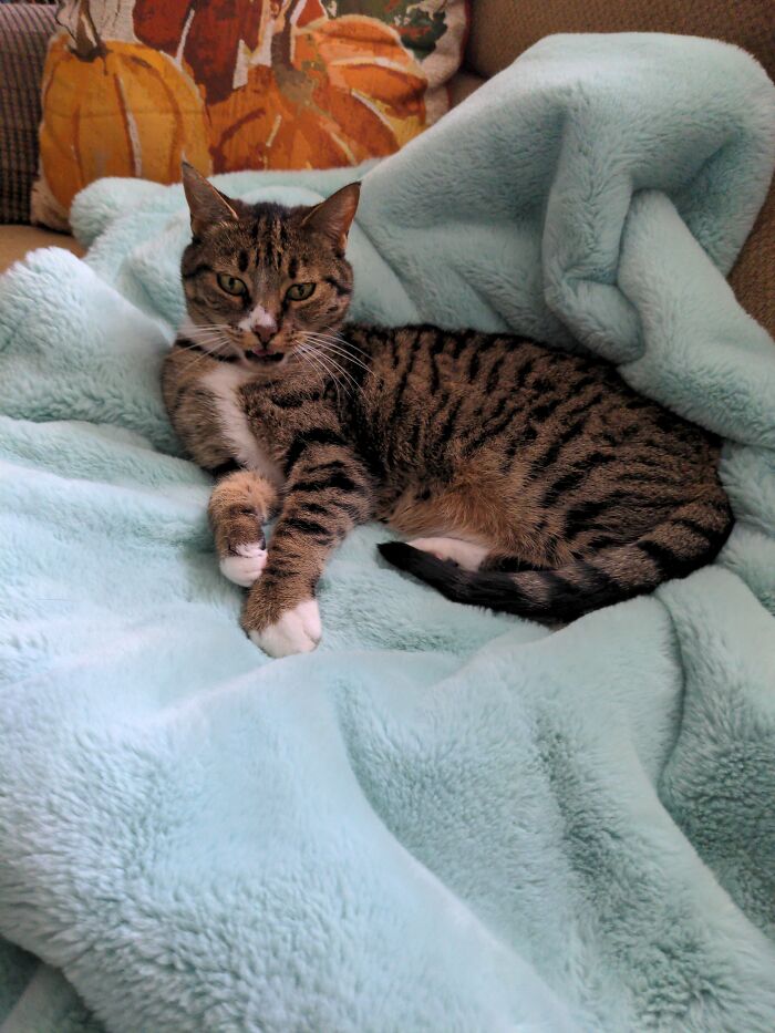 Our Little Princess Mindy. Found On A Country Road