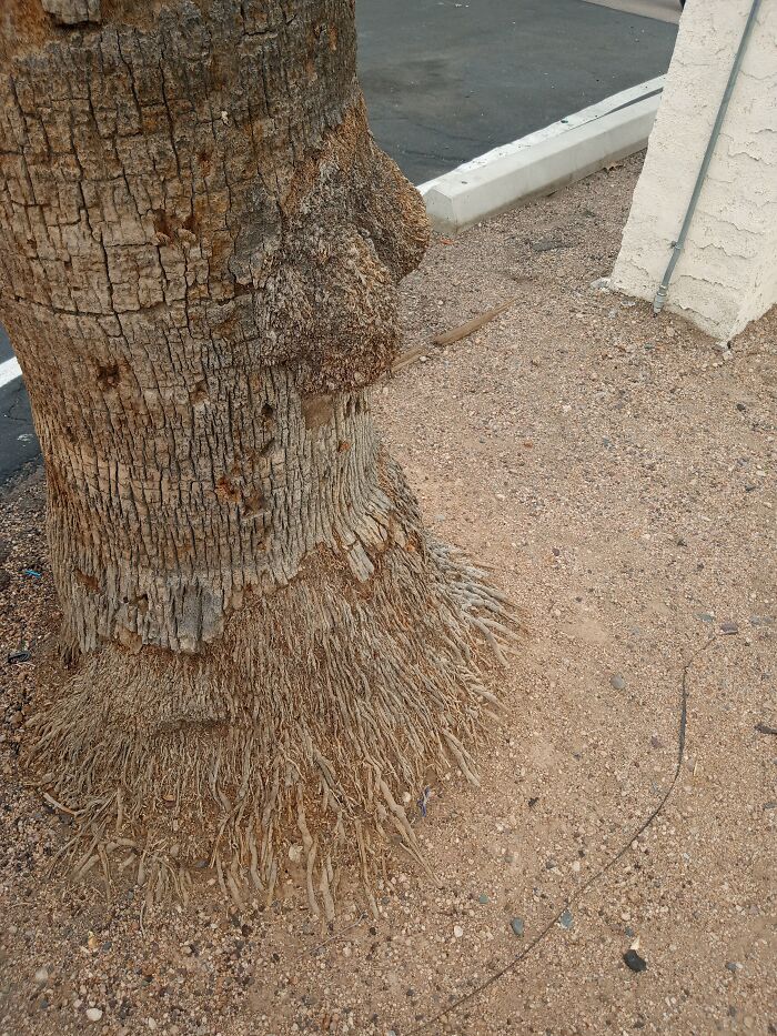 Major The Last Unicorn Vibes