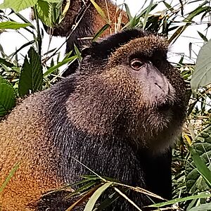 todd_pinkerton avatar