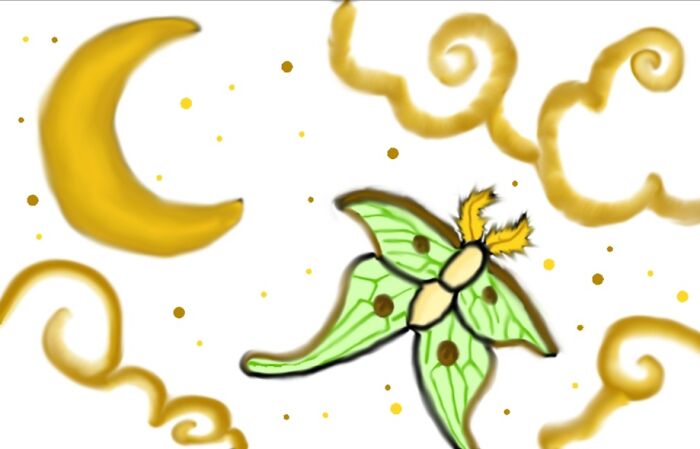 Luna Moth In A Starry Night