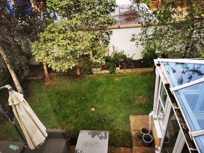 From The Back Of The House