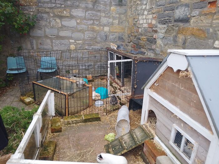 My Gardens Been Taken Over By Cuteness Aliens!!!