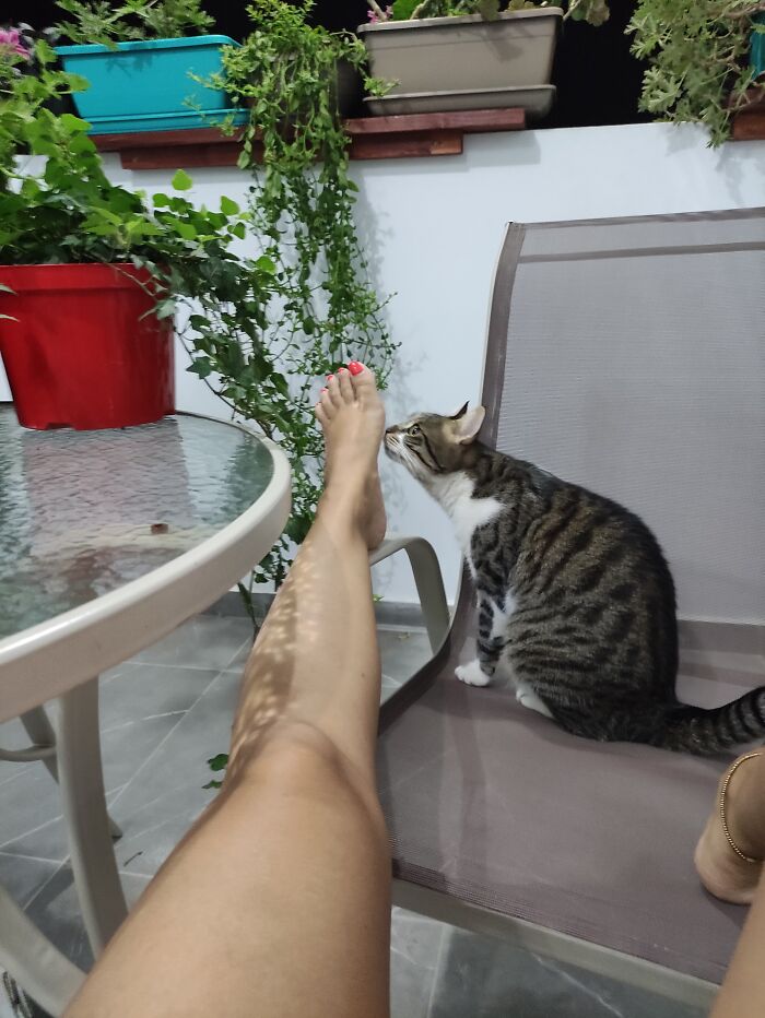 She Smells My Feet! No Idea Why