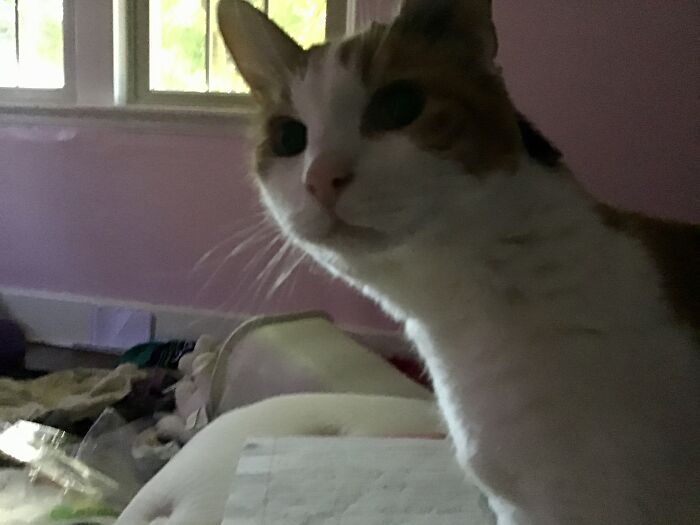 This Is My First Little Weirdo