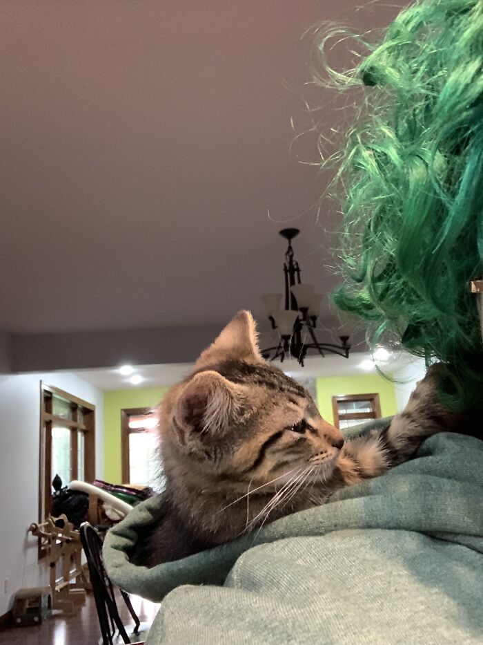 New Baby Napping In My Hood