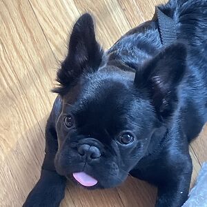 madelinetracey avatar