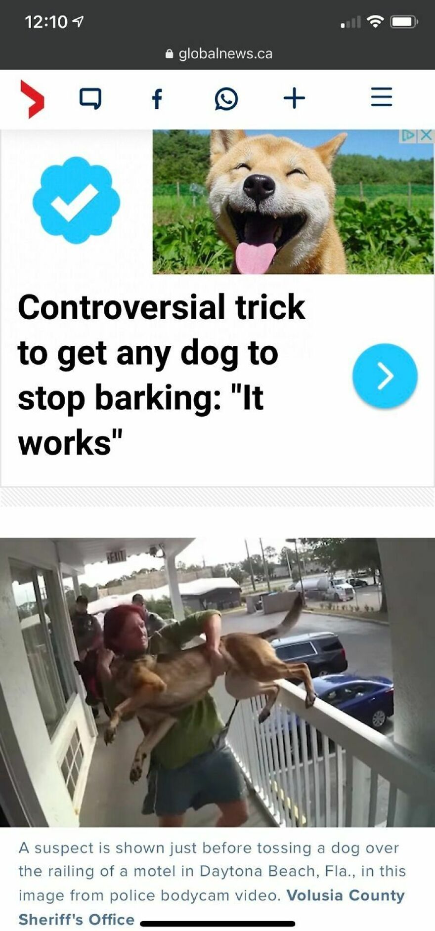 This Trick Will Definitely Work, What Can Go Wrong?