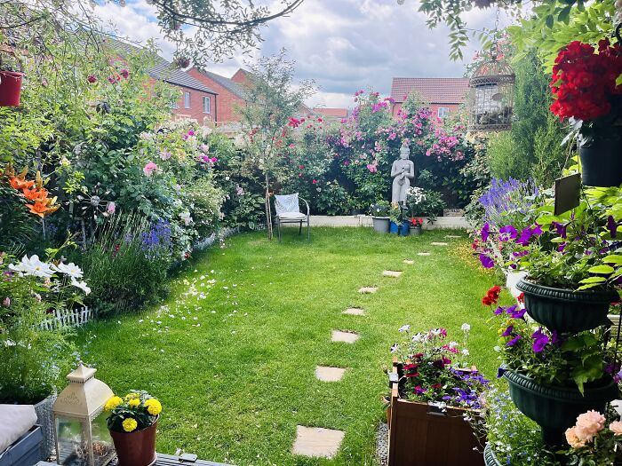 I Transformed My New Build Garden: A Journey Of Creativity And Growth (9 Pics)