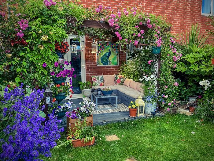 I Transformed My New Build Garden: A Journey Of Creativity And Growth (9 Pics)