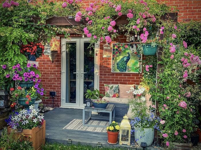 I Transformed My New Build Garden: A Journey Of Creativity And Growth (9 Pics)