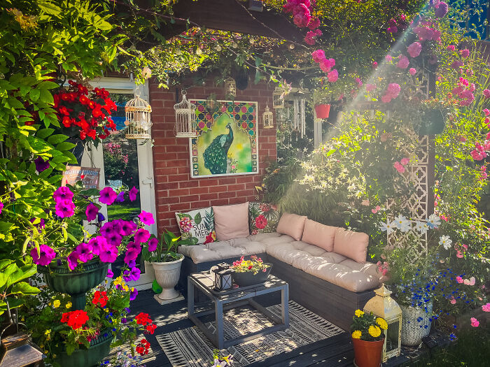 I Transformed My New Build Garden: A Journey Of Creativity And Growth (9 Pics)