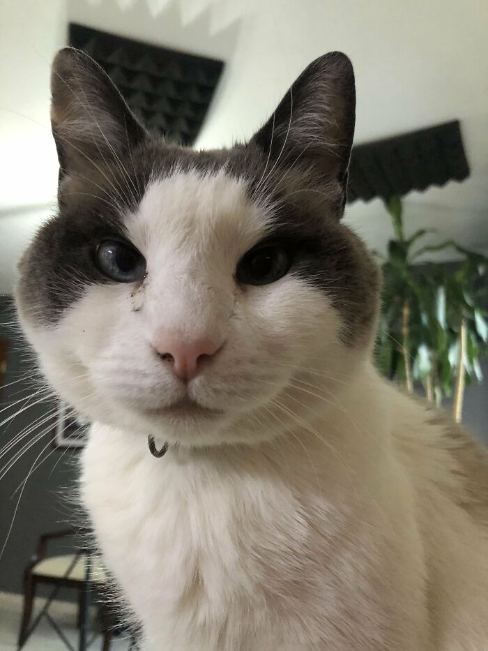 My Little Senior Treasure. We Found It 11 Years Ago