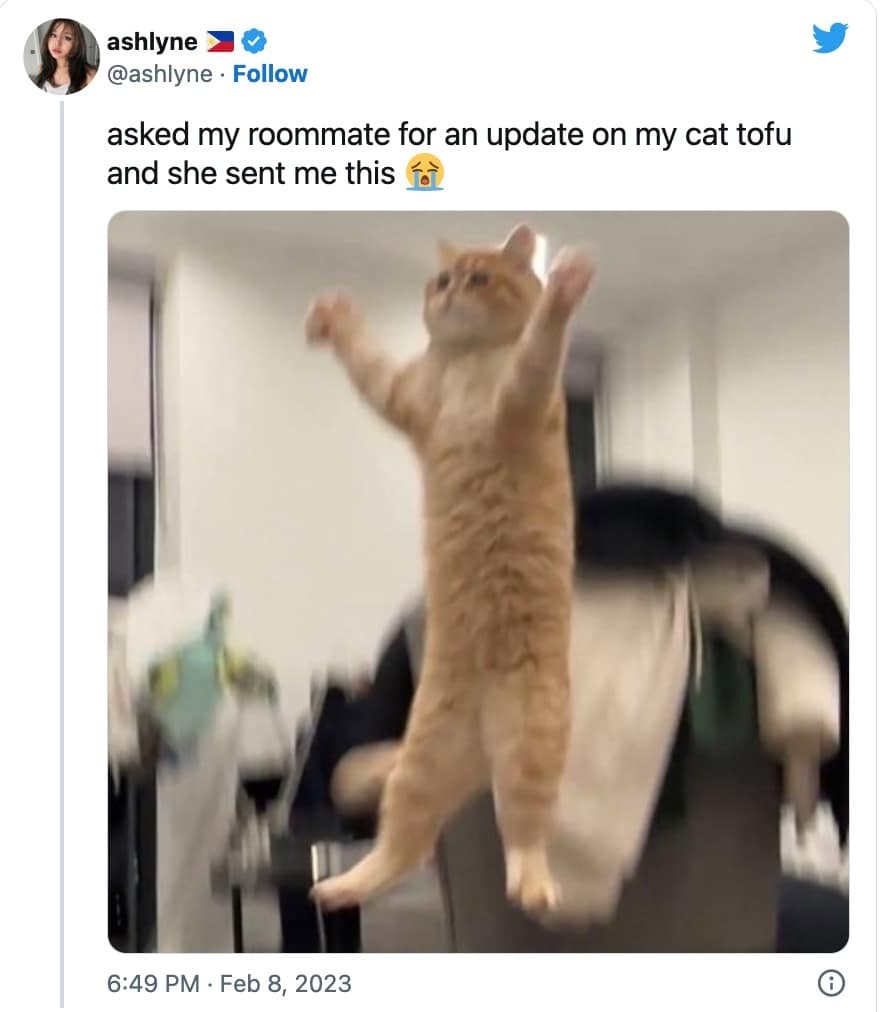 30 Memes To Make Your Day Better 30 Memes To Make Your Day Better