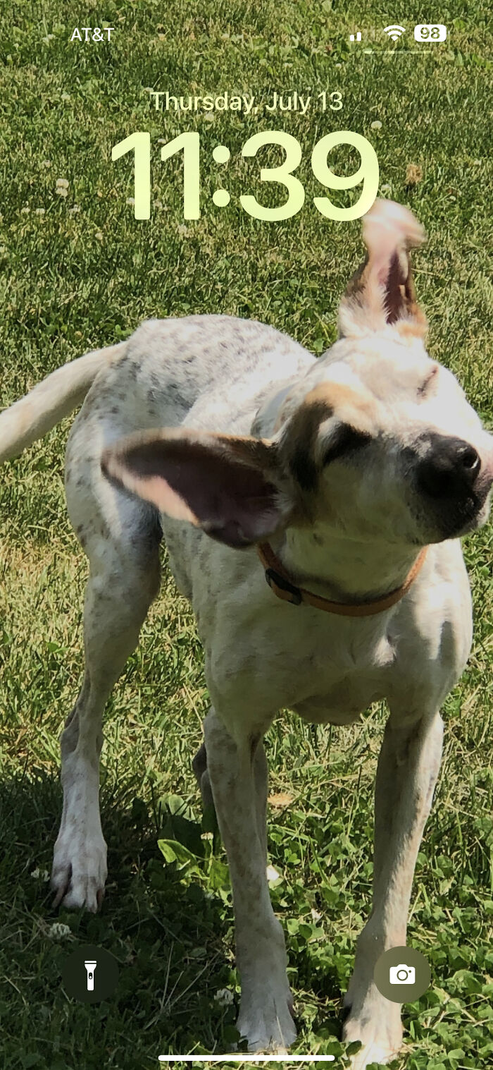 She's All Beauty And Grace