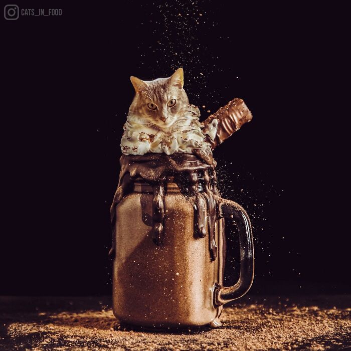 In An Oddly Cute Way, This Artist Keeps Pairing Cats With Food (New Pics)