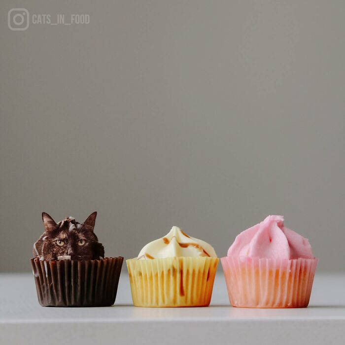 In An Oddly Cute Way, This Artist Keeps Pairing Cats With Food (New Pics)