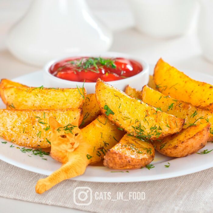 In An Oddly Cute Way, This Artist Keeps Pairing Cats With Food (New Pics)