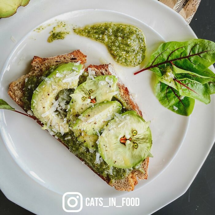 In An Oddly Cute Way, This Artist Keeps Pairing Cats With Food (New Pics)