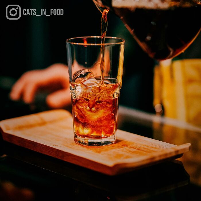 In An Oddly Cute Way, This Artist Keeps Pairing Cats With Food (New Pics)