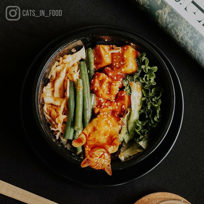 In An Oddly Cute Way, This Artist Keeps Pairing Cats With Food (New Pics)