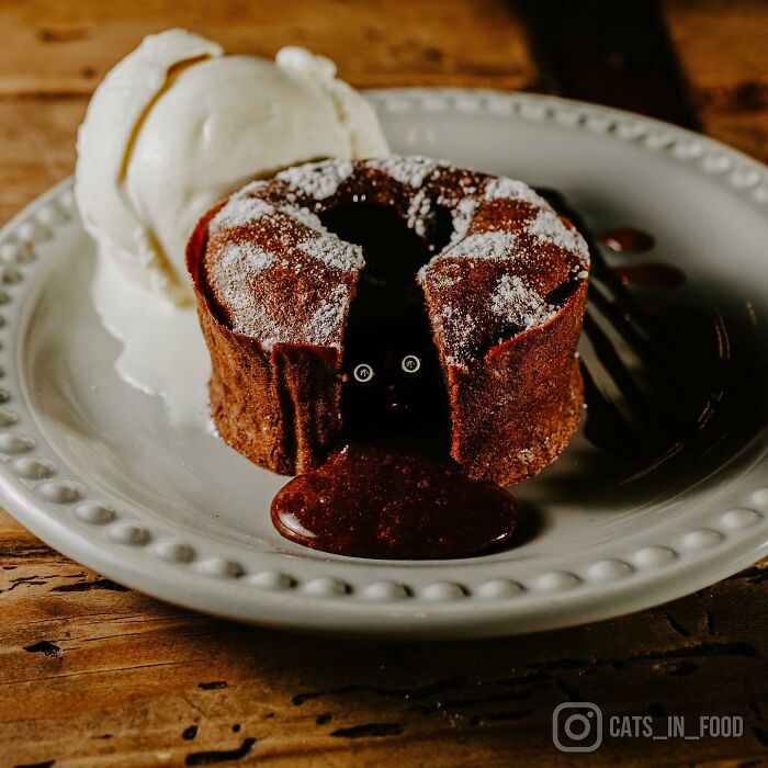 In An Oddly Cute Way, This Artist Keeps Pairing Cats With Food (New Pics)