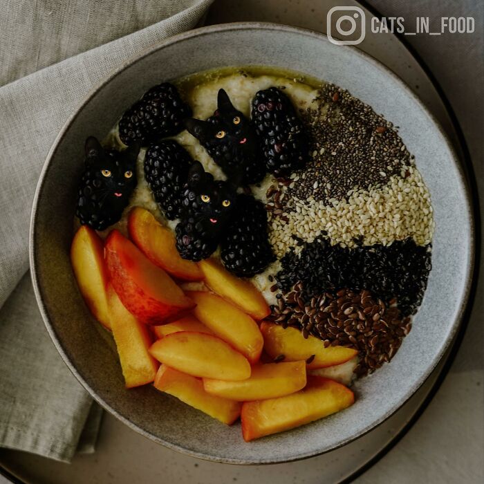 In An Oddly Cute Way, This Artist Keeps Pairing Cats With Food (New Pics)