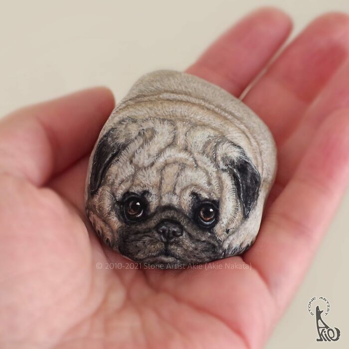Japanese Artist Turns Rocks Into Cute Little Animals (New Pics)
