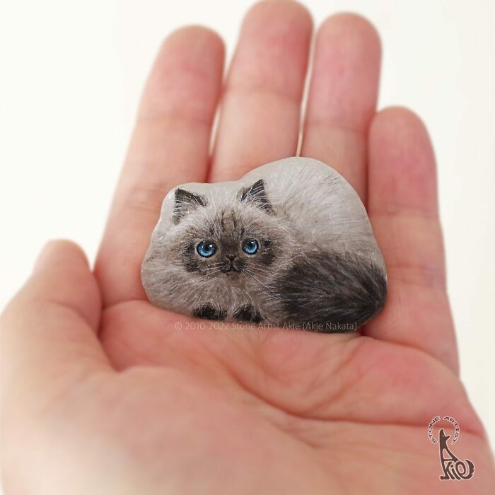 Japanese Artist Turns Rocks Into Cute Little Animals (New Pics)