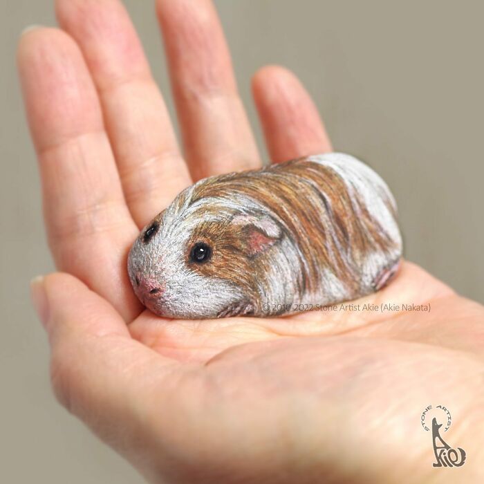 Japanese Artist Turns Rocks Into Cute Little Animals (New Pics)