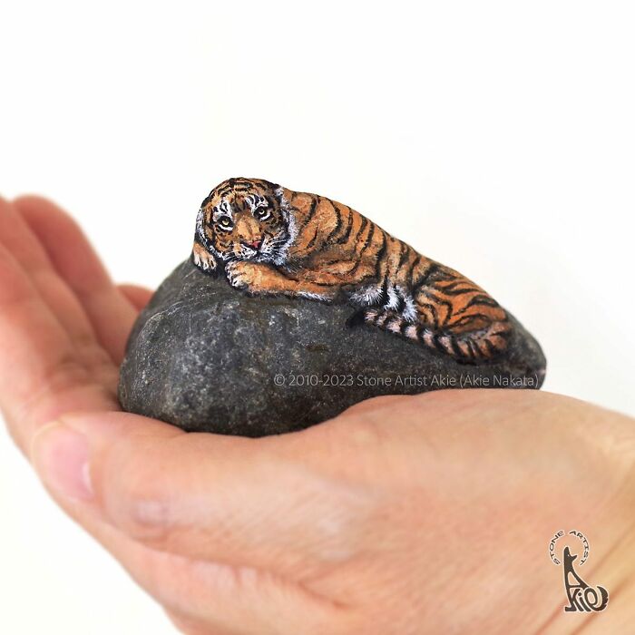 Japanese Artist Turns Rocks Into Cute Little Animals (New Pics)