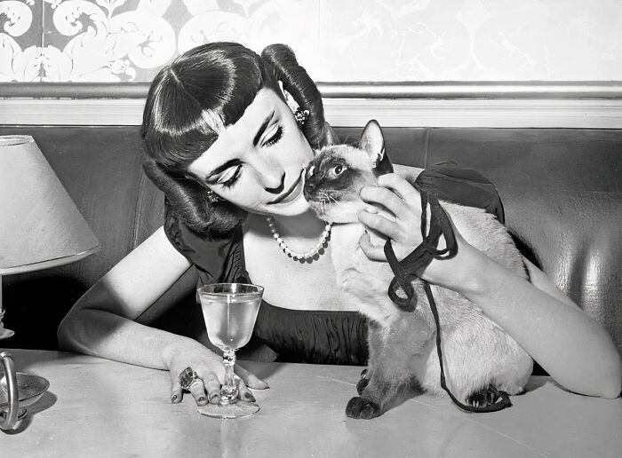 Journalist Rescues 20th-Century Photos Depicting Felines In Various Scenes (61 New Pics)