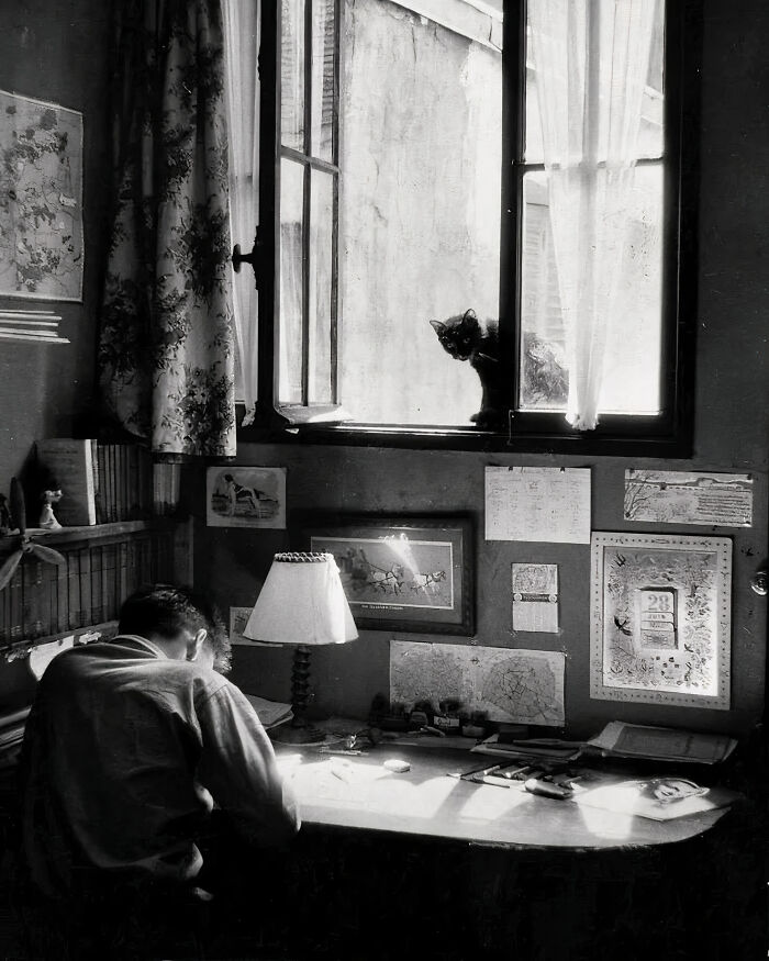 Journalist Rescues 20th-Century Photos Depicting Felines In Various Scenes (61 New Pics)