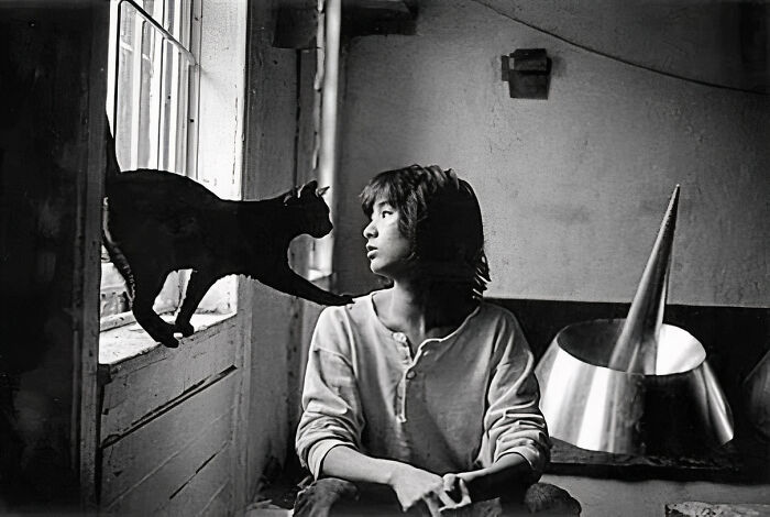 Journalist Rescues 20th-Century Photos Depicting Felines In Various Scenes (61 New Pics)