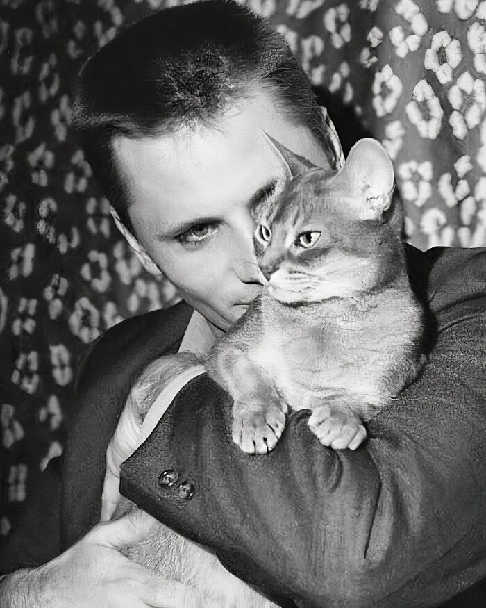 Journalist Rescues 20th-Century Photos Depicting Felines In Various Scenes (61 New Pics)