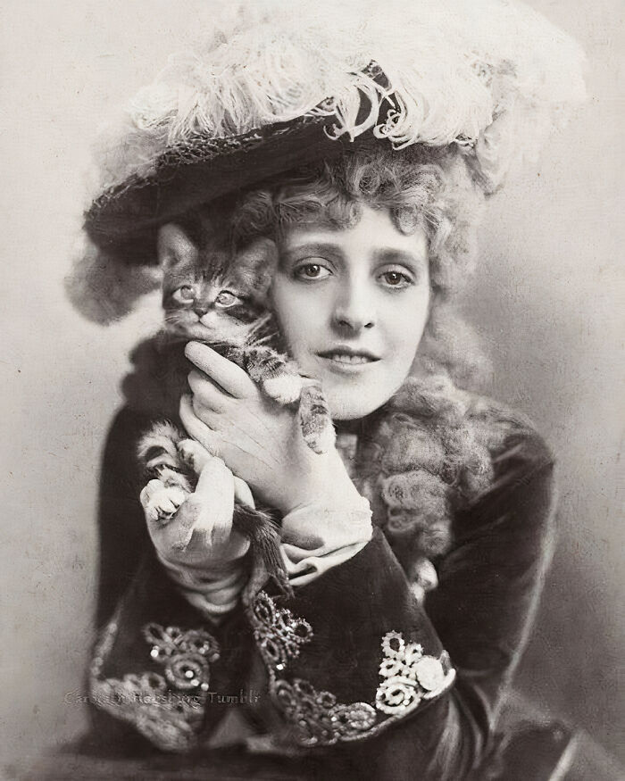 Journalist Rescues 20th-Century Photos Depicting Felines In Various Scenes (61 New Pics)